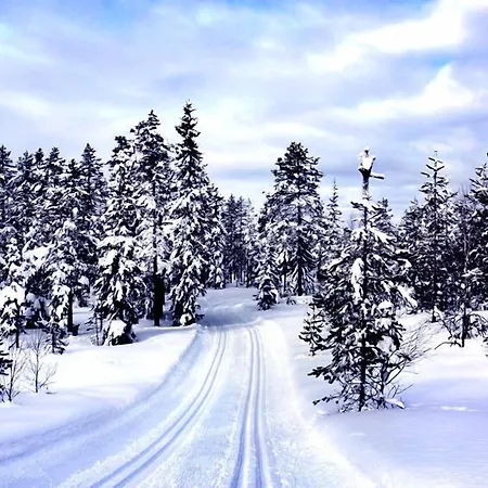 Traumblick 3* Oberhof (Thuringia)