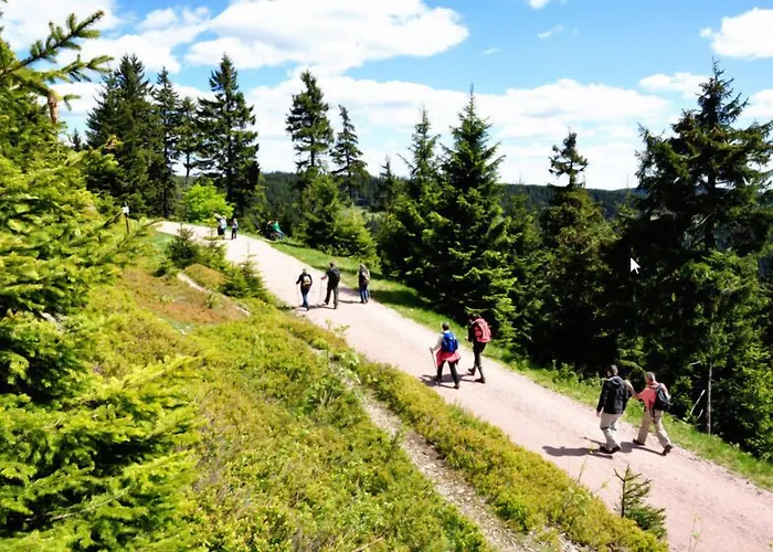 Hotel&pension Traumblick 3* Oberhof (Thuringia)