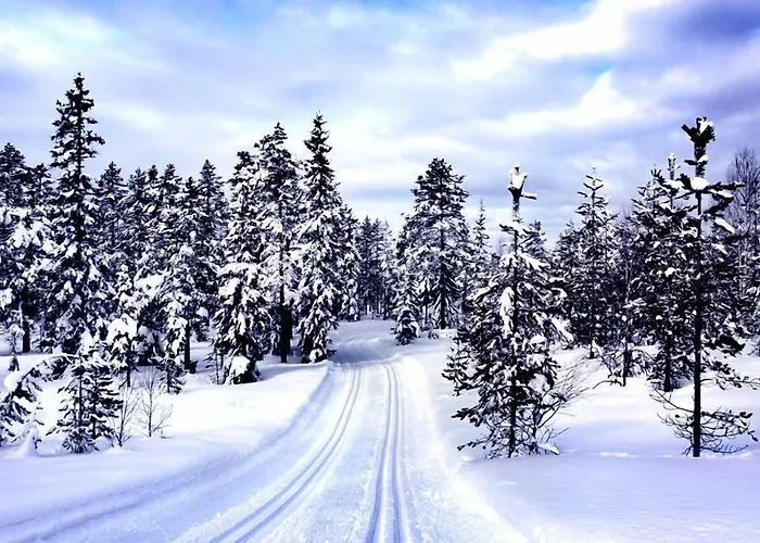 Traumblick 3* オーバーホーフ