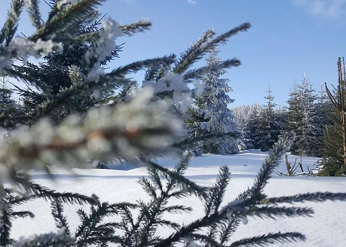 Hotel&pension Traumblick 3* Oberhof (Thuringia)